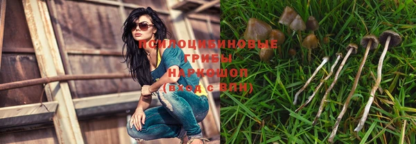 2c-b Вяземский