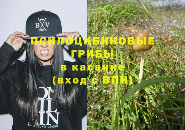 2c-b Вяземский