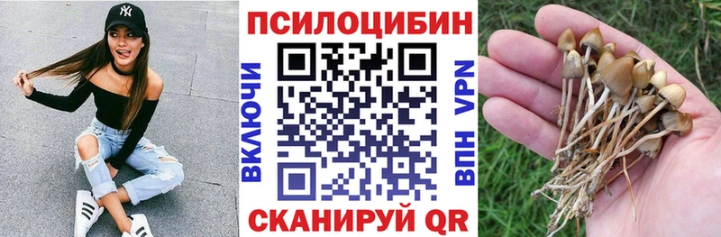 маркетплейс как зайти  Мценск  Псилоцибиновые грибы GOLDEN TEACHER 